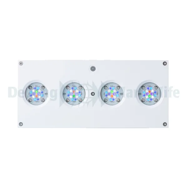 Hydra 64 HD LED - White/Silver (incl EU 220V cable) | S/M