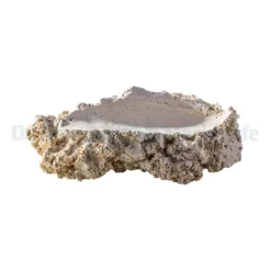 Shell-Holder S