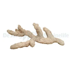 Branch Nature 60 cm | L