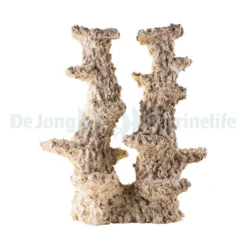 Colum Wide 2 Branches - 50 cm | L