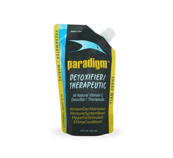 Paradigm Detoxifier - 3,8 l
