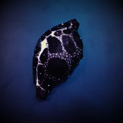 Ovula ovum | All sizes