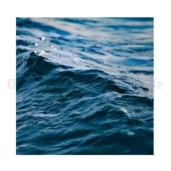 Seawater made from DJM Finest Salt p/ltr
