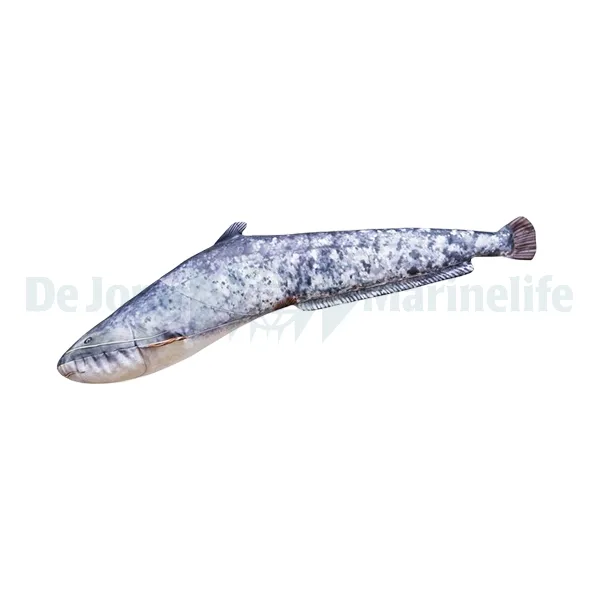 Catfish Pillow