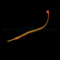 Dunckerocampus pessuliferus | All sizes