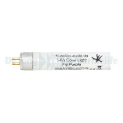 KZ Fiji Purple - 54W | L