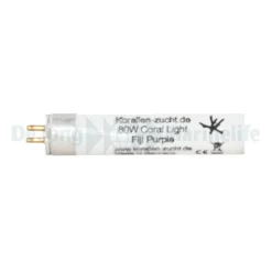 KZ Fiji Purple - 80W | XL