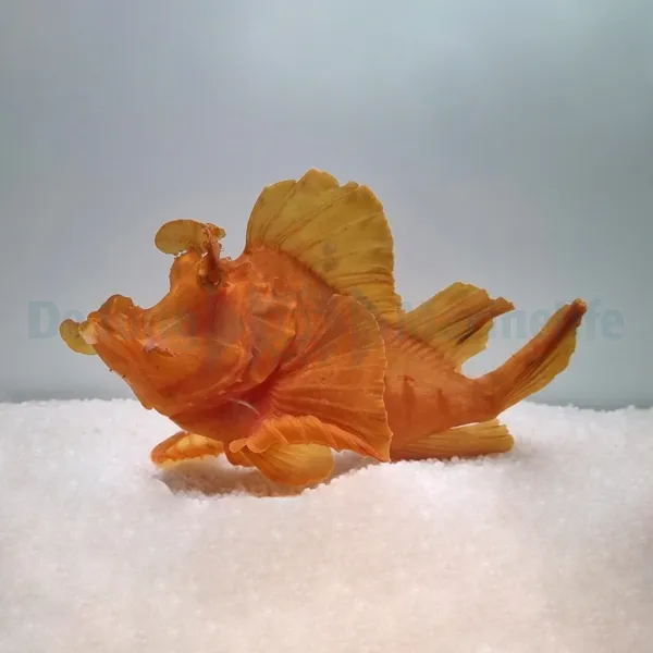 Rhinopias eschmeyeri (Orange) | All sizes