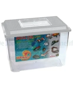 Boxlife Extra 41X26,5X30