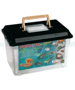 Boxlife Medium 29,5X19,5X20