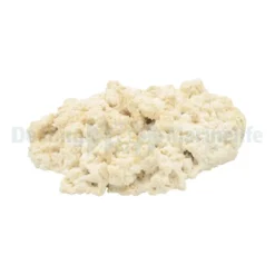 Cutted Natural Top - 30+cm (box 5 pcs) (NT) | L