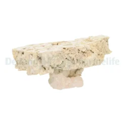 Cutted Top Pedestal Rock - 20-30cm (box 5 pcs) (PBS) | M