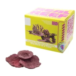 Real Reef Plate Coral - 10pcs