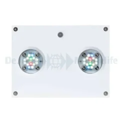 Hydra 32 HD LED Freshwater - White (incl  EU 220V cable)