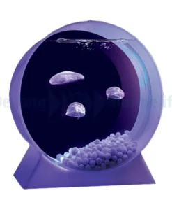Jelly fish aquarium colour