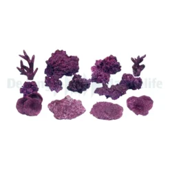 Real Reef Ready Mix - Mini Reef box