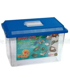 Boxlife Large 36,5X21,5X24